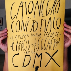 http://www.nunezdelar.co/files/gimgs/th-28_gato negro y conejo malo.jpg